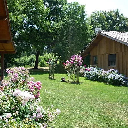 Les Maisons De Maylis 招待所 Damazan